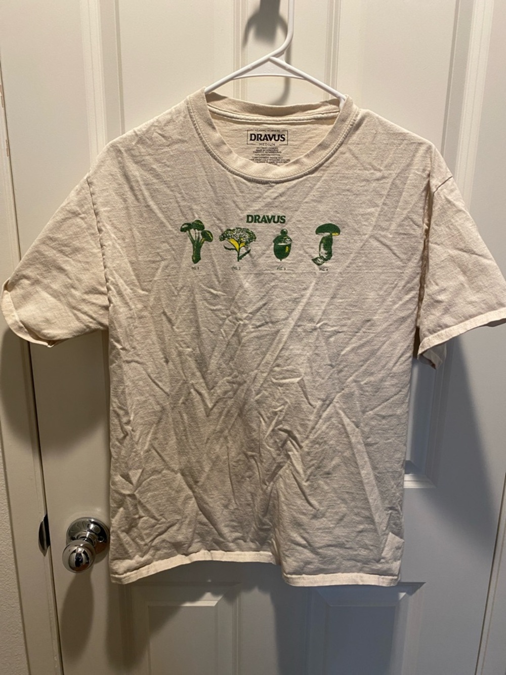 Dravus Men's Short Sleeve Graphic Tee in Cream with Green Print